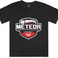 Gildan Adult Comfort Colours Tee Thumbnail