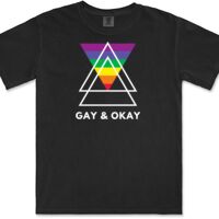 Gildan Adult Comfort Colours Tee Thumbnail