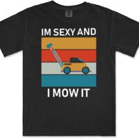 Gildan Adult Comfort Colours Tee Thumbnail