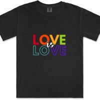 Gildan Adult Comfort Colours Tee Thumbnail