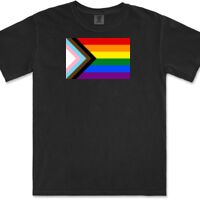 Gildan Adult Comfort Colours Tee Thumbnail